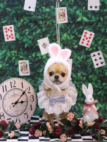 20250405れおくん